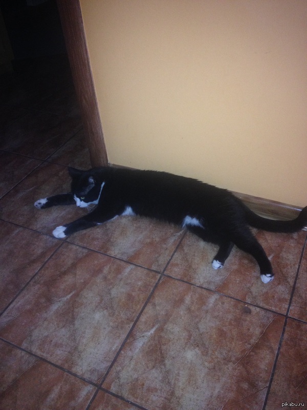 ��� ������� ���� � �����!