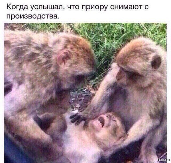    .    (