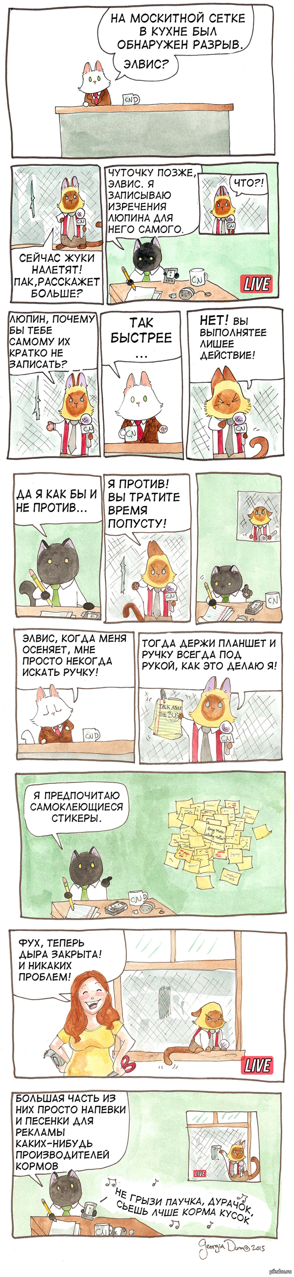 Котейкины новости 44' 15