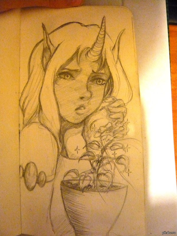 Сорака карандашом