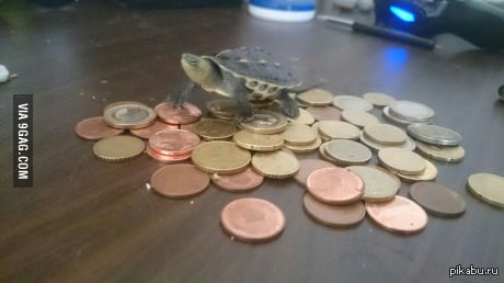 "��� ��������� �����"