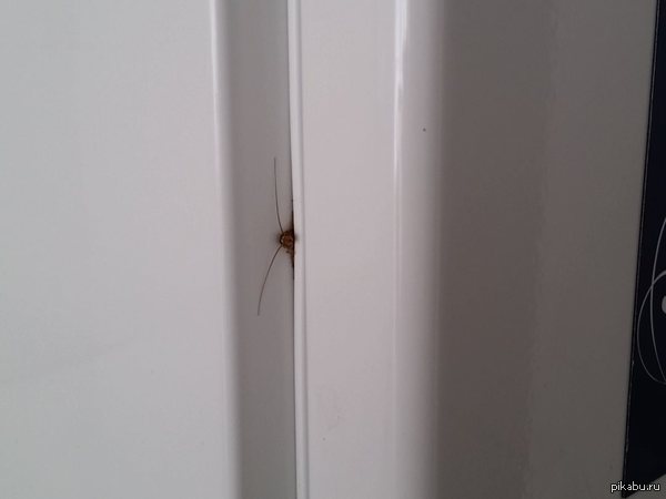 Только что. Воришка, постоянно опустошавший холодильник на работе, пойман!!!