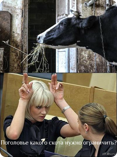 � ���� � ��� ������!