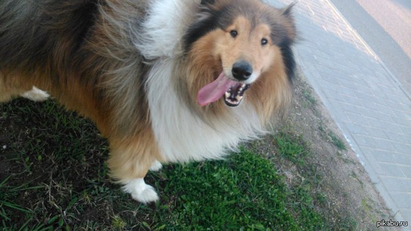 Не опять, а снова.