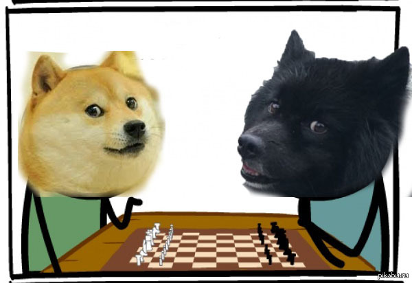 Doge �������