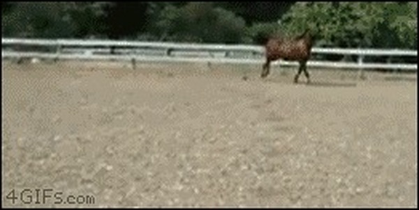 No Escape Gif