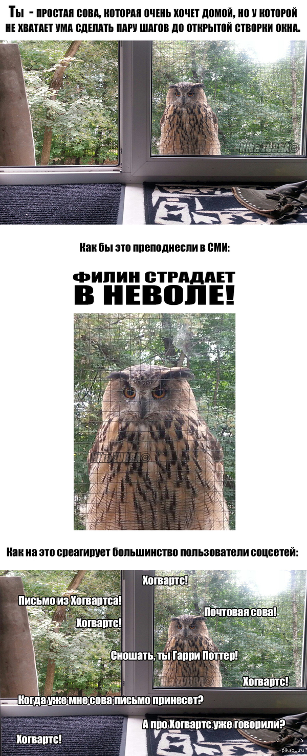  -  ...      :)