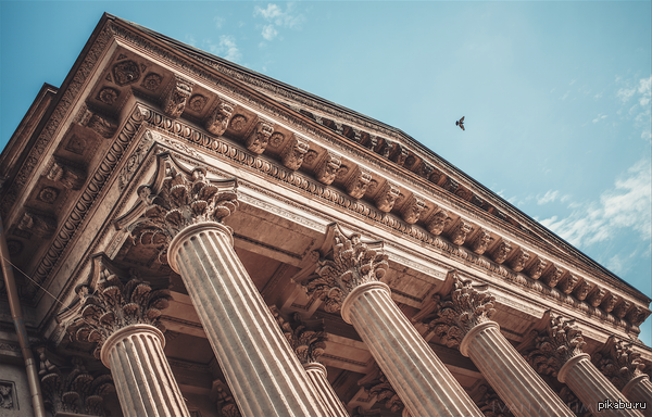 Этот голубь снова здесь!