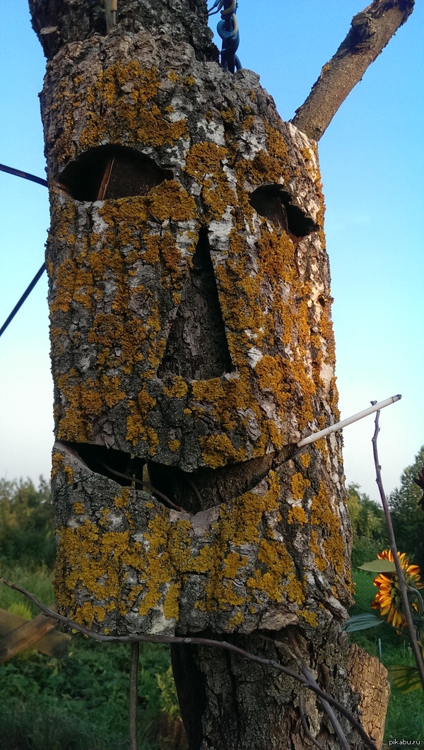 Я есть Грут !