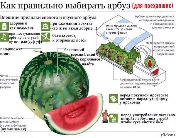 Выбираем арбуз