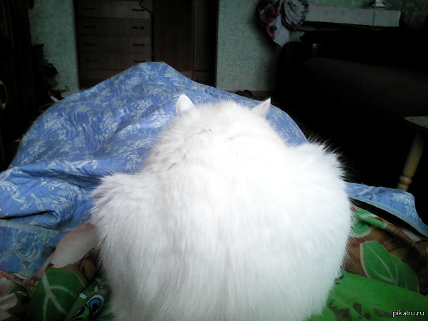 Первое что я вижу, проснувшись утром: