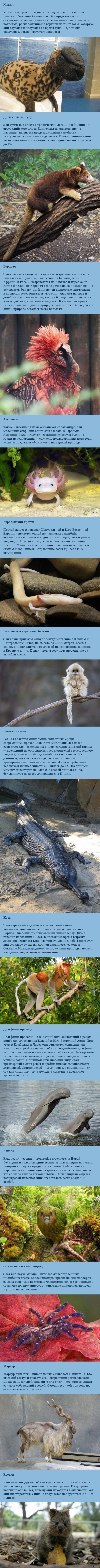 ������������ ��������, ������� ���-��� ��������� �������� �� ���� ��������