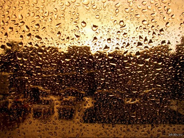 �������� �����.