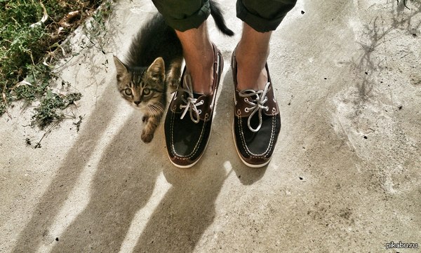 ��������� ��������� �������� �����.