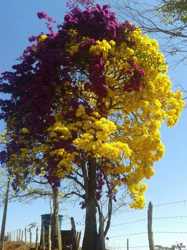 ���������� ������