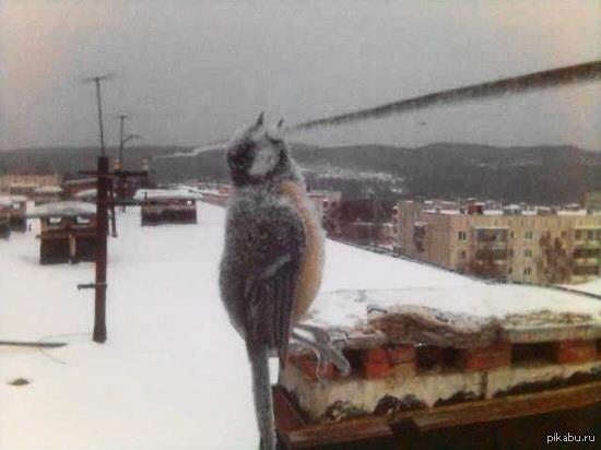 Как и зачем?