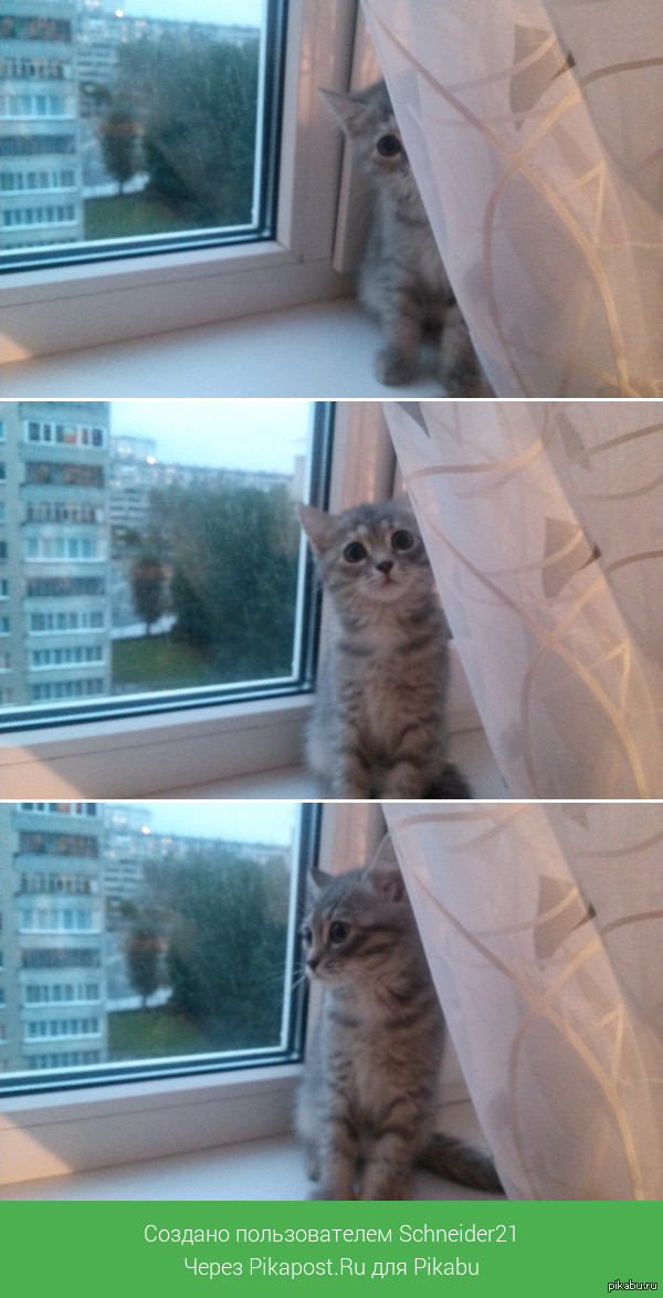 ������������ ����