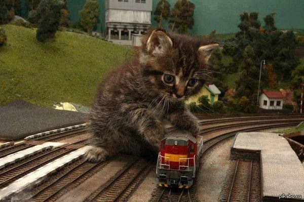 ���� ���������������