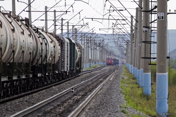 �� �������� ������ ���� ������ ������