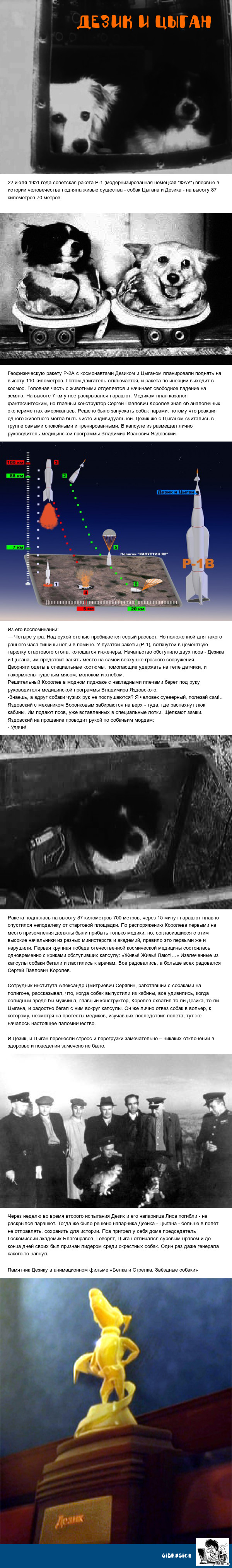 На фото: собаки Цыган и Дезик новые фото На фото: собаки Цыган и Дезик новые фото