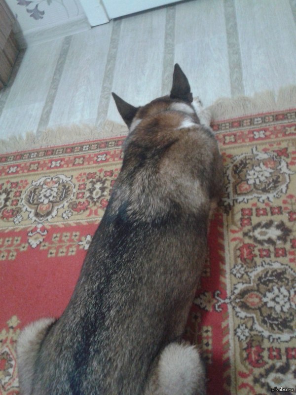 ��� ������ ��� ���-�� ����������...