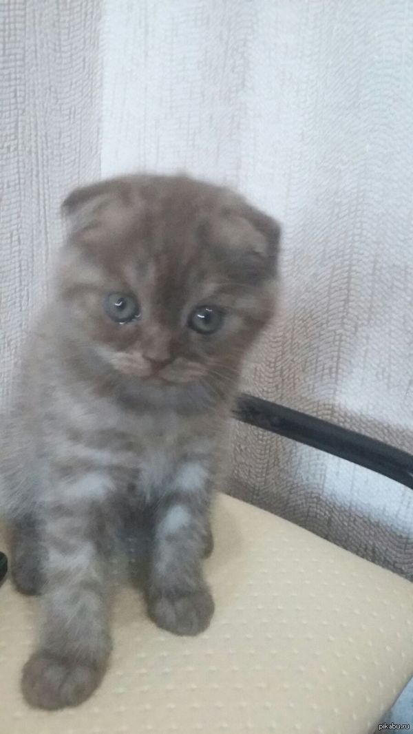 Теперь и у меня есть красотулька)