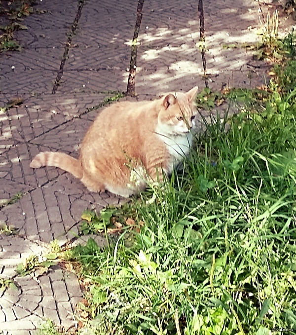 ������ ������� �����. ������ ������� ������