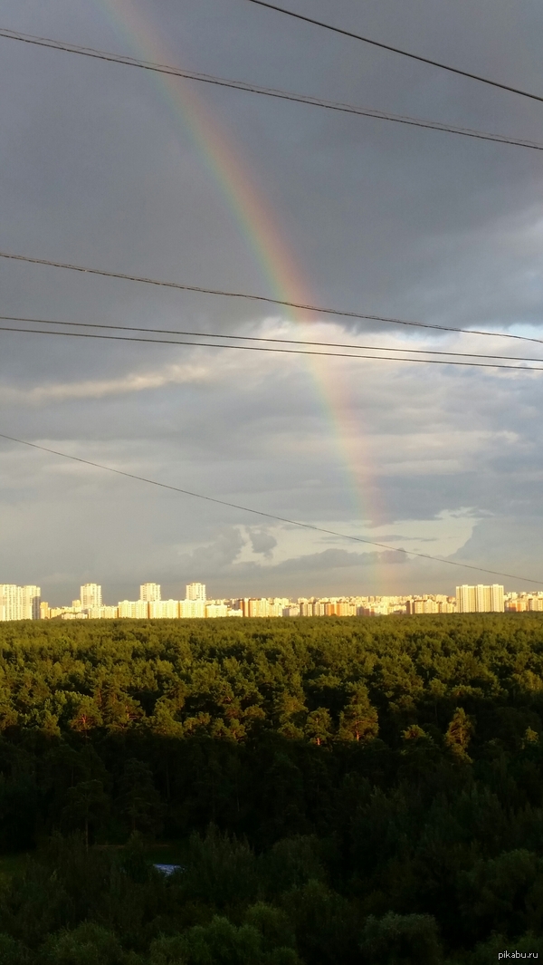 Вид из окна