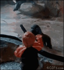     ,  