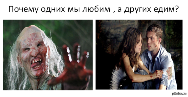 Навеяно,картинкой про свинью и собачку.