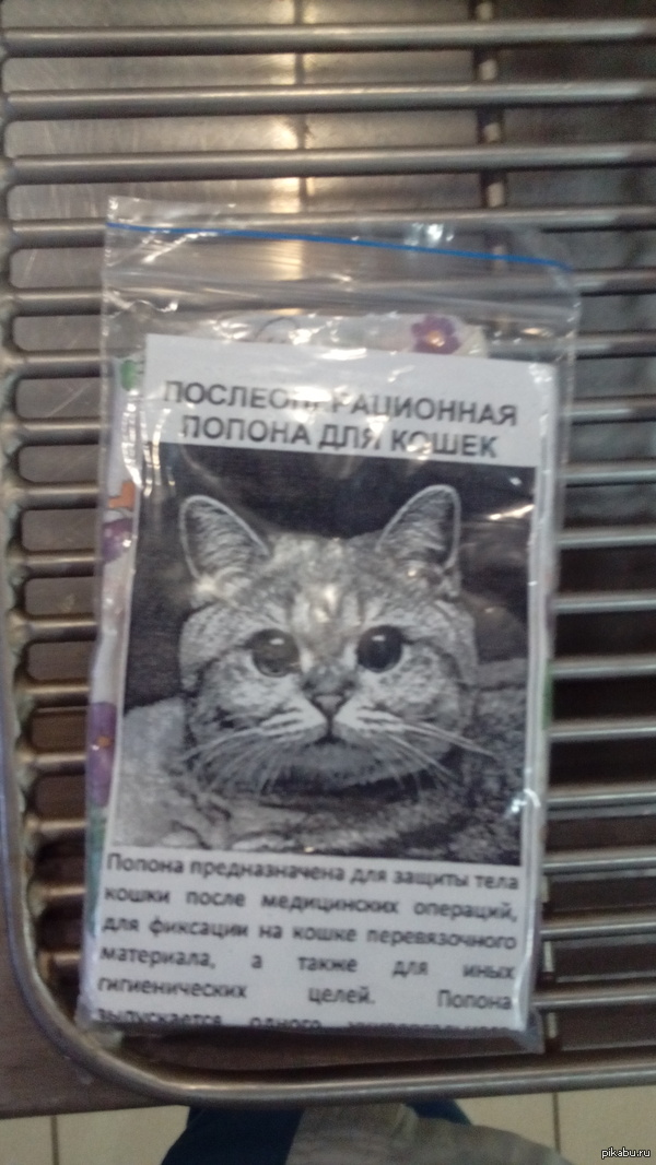 Вот такая послеоперационная попона