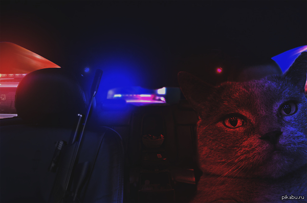 ������ ����� ����� ����� :D