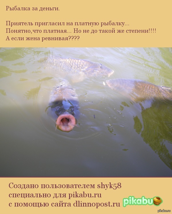 Рыбаки поймут.