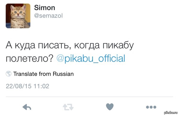 И вправду, куда?