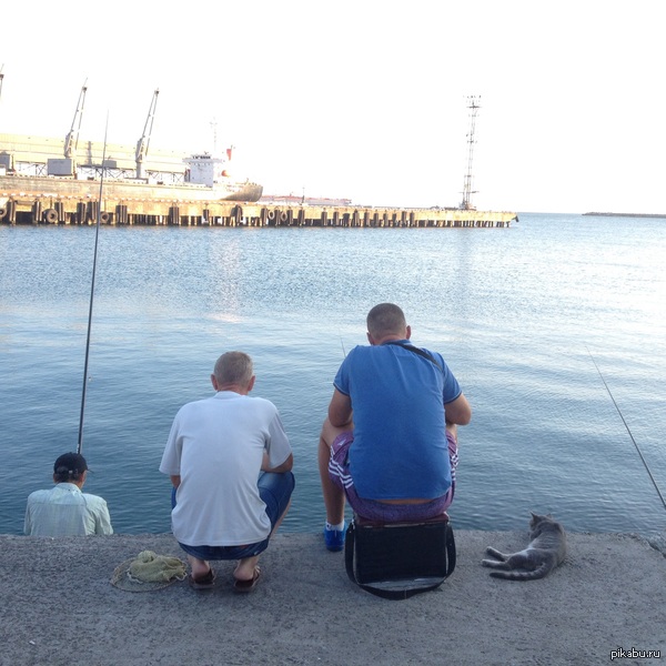 ����������