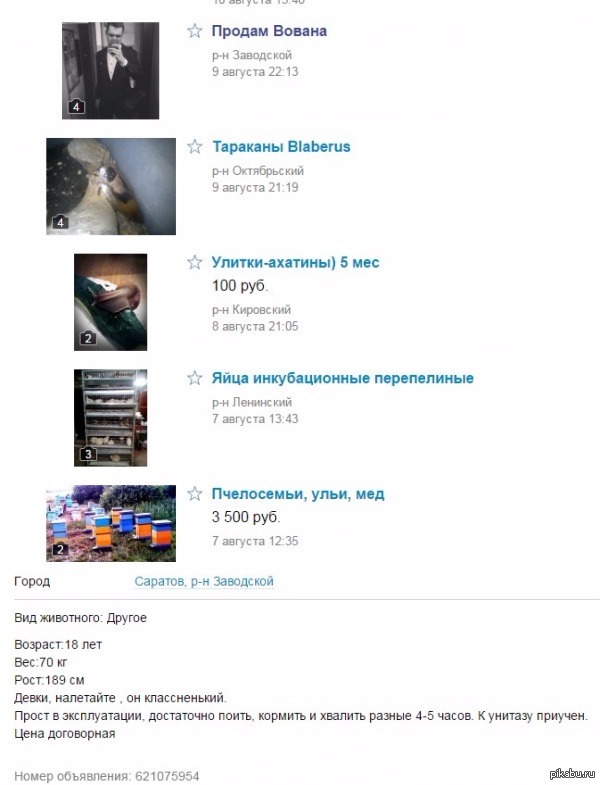 ������ ����� ���� �����-������ ����� ��������. ������ �� ������� ����� ��