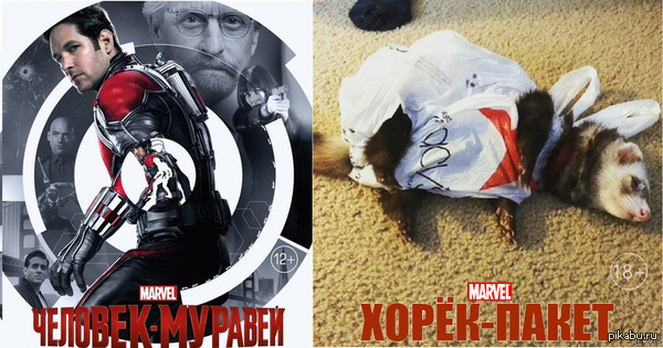 ����� �� ���� �����������