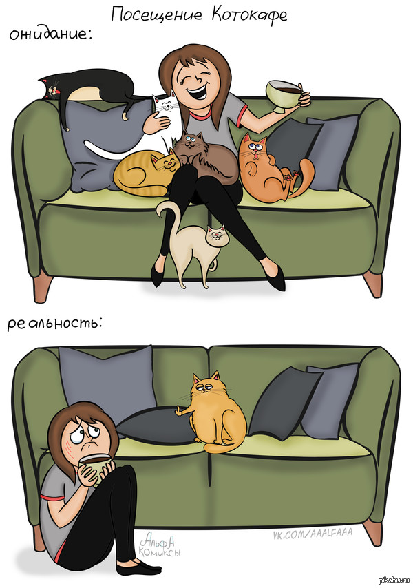 Посещение котокафе