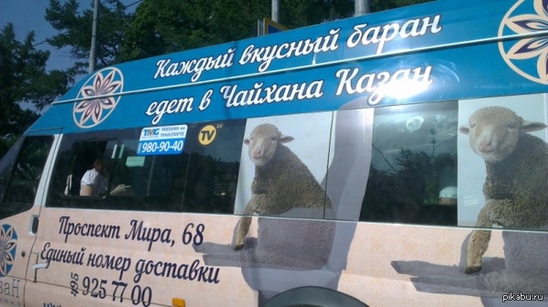 �� �������� �� ����� � ���� ��������.