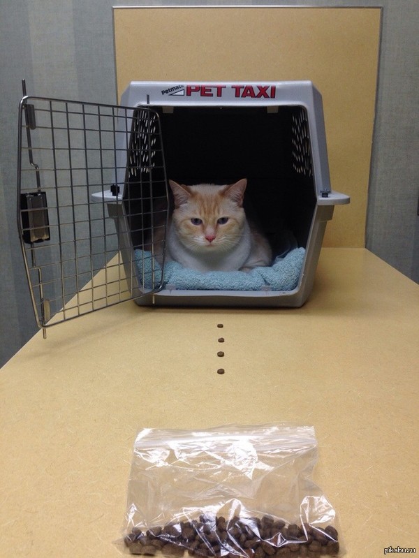 Когда бросил курить.