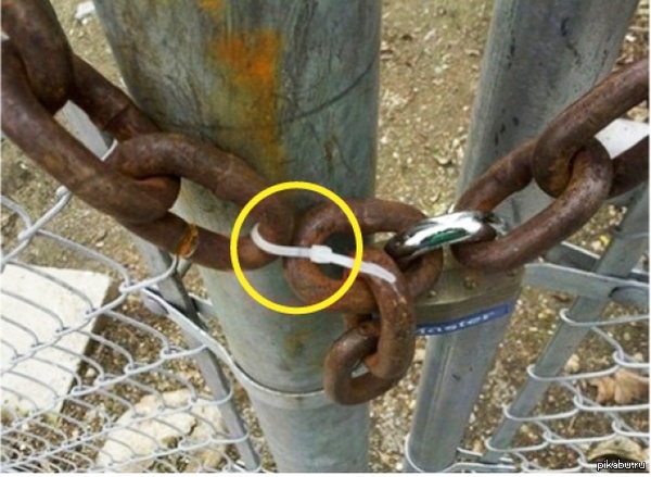 Скованные одной стяжкой...