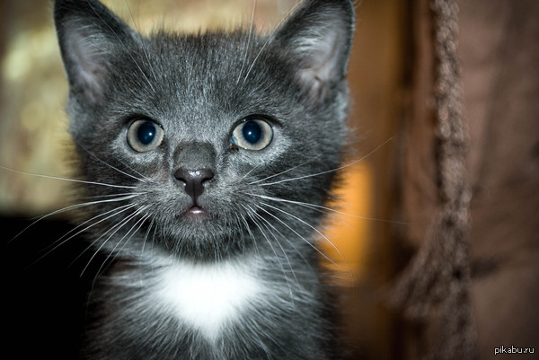 �� �������, ����� ����� ������������ ����..)