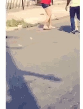&quot; &quot; 