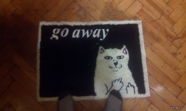 Вот и моя котейка до меня доехала :3