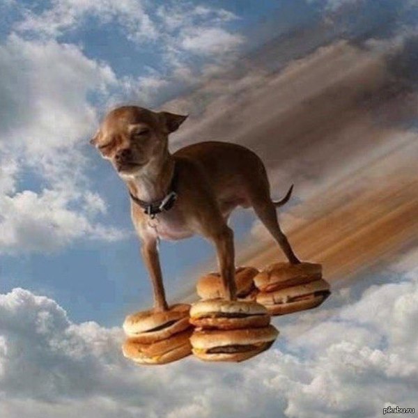    ,   ,  ,  