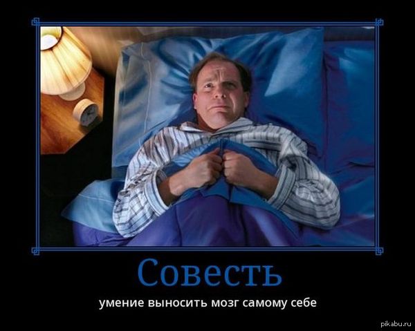 Совесть это - Совесть, Демотиватор