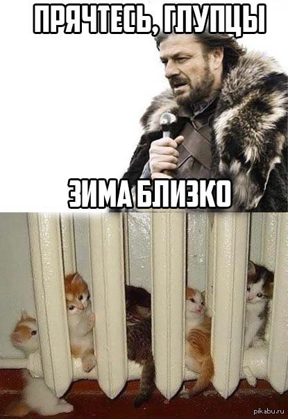 Memes is coming. Зима близко. Зима близко приколы. Зима близко картинки прикольные. Зима близко Мем.