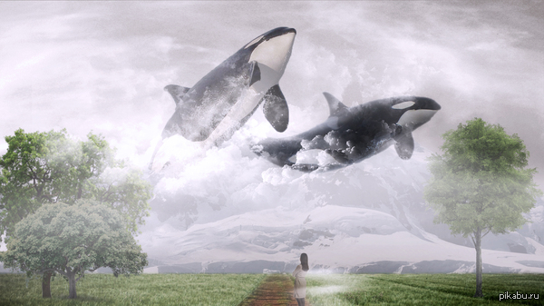 � �� ������ �������� �����? ������ 2.0