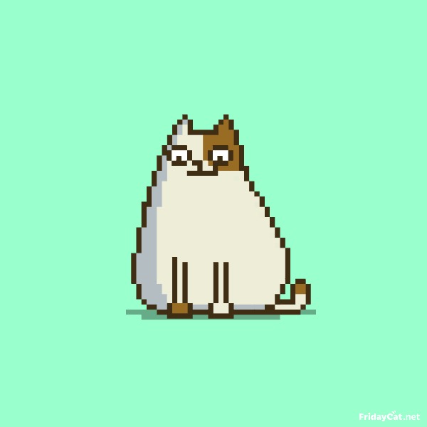 Пятничный Котик №15