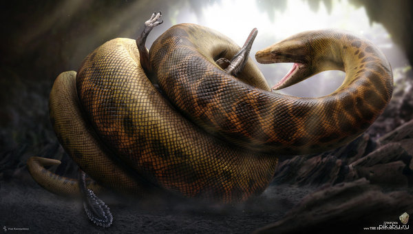 Titanoboa 